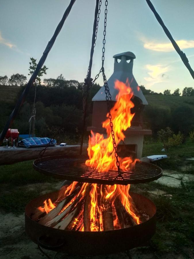 Domki W Bieszczadzkiej Dolinie Ustrzyki Dolne Buitenkant foto