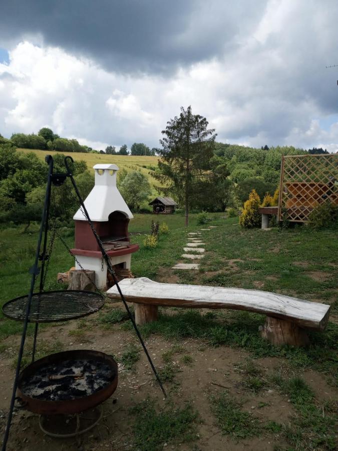 Domki W Bieszczadzkiej Dolinie Ustrzyki Dolne Buitenkant foto