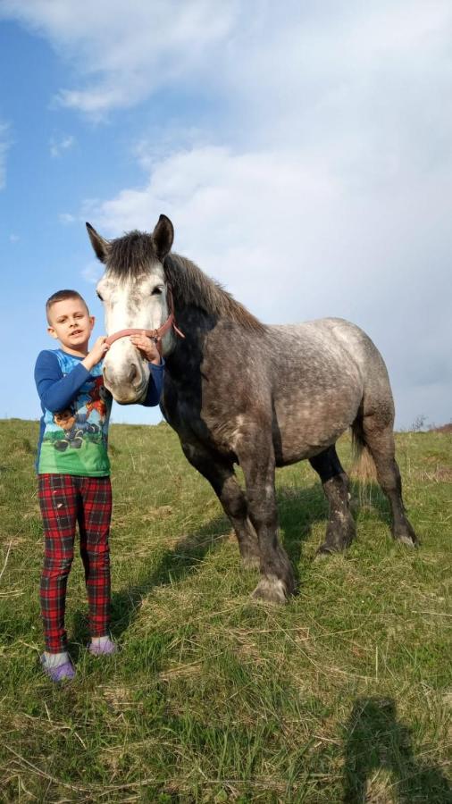 Domki W Bieszczadzkiej Dolinie Ustrzyki Dolne Buitenkant foto