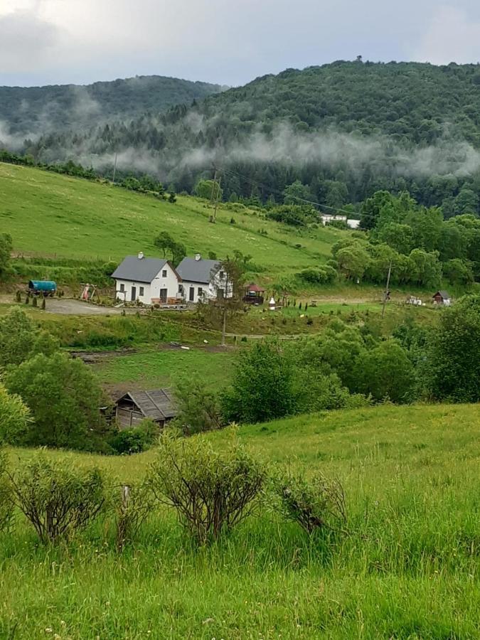 Domki W Bieszczadzkiej Dolinie Ustrzyki Dolne Buitenkant foto