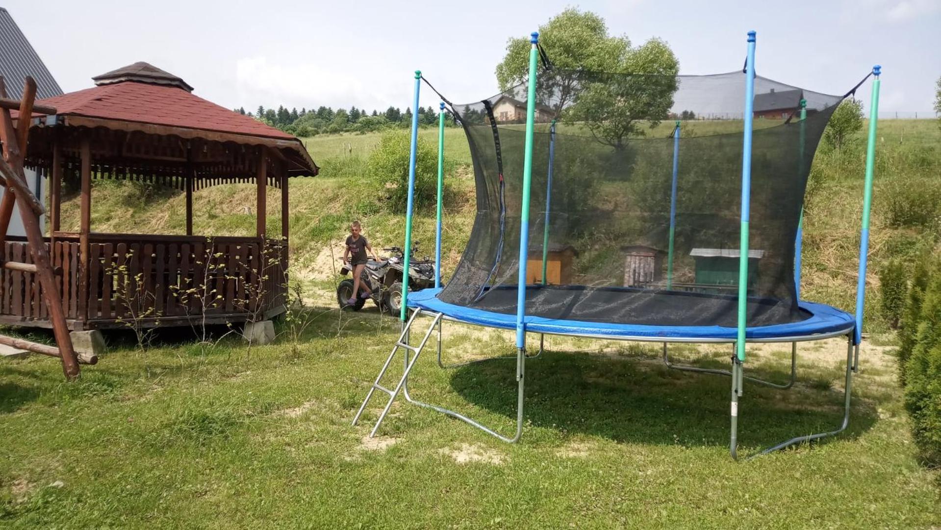 Domki W Bieszczadzkiej Dolinie Ustrzyki Dolne Buitenkant foto
