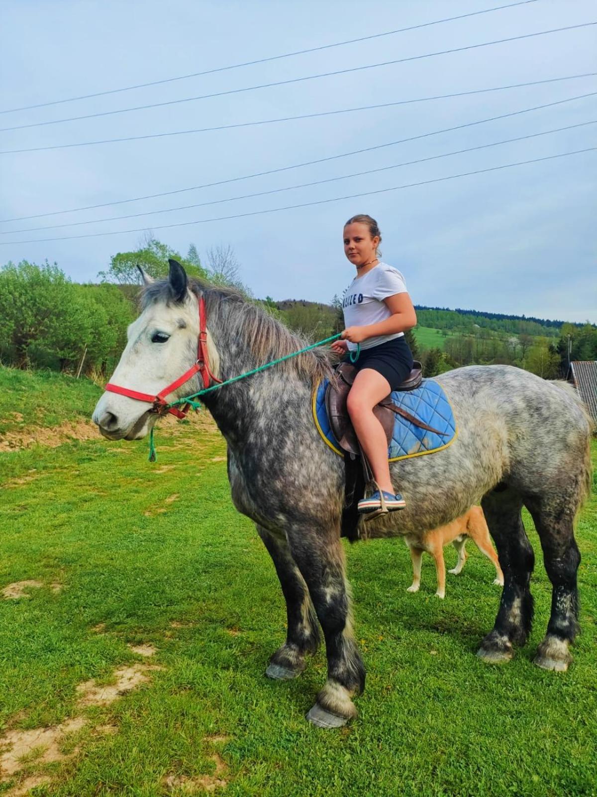 Domki W Bieszczadzkiej Dolinie Ustrzyki Dolne Buitenkant foto